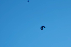 IMG_20260810_202241-Copy