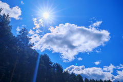 IMG_20250824_101711-Copy