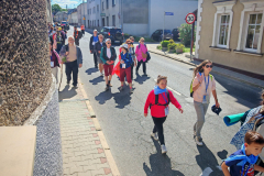 IMG_20250824_115044-Copy