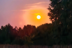 IMG_20250810_211412-Copy