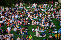 IMG_20250813_192329-Copy