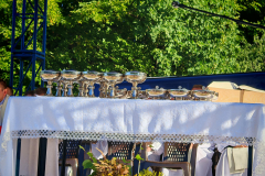 IMG_20250812_080105-Copy