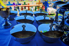 IMG_20250811_112958-Copy