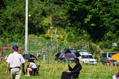 IMG_20250811_113950-Copy