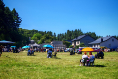 IMG_20250811_114022-Copy