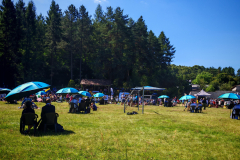 IMG_20250811_114034-Copy