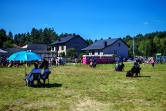 IMG_20250811_114231-Copy