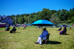 IMG_20250811_114234-Copy