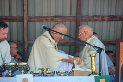 IMG_20250811_134306_1-Copy