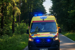 IMG_20250810_171630-Copy