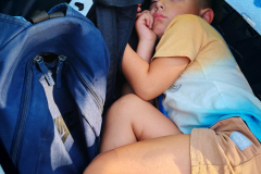 IMG_20250810_174322-Copy