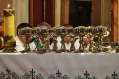 IMG_20250810_134554-Copy