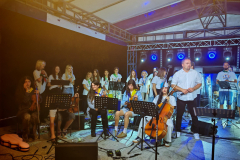 IMG_20250811_213414-Copy