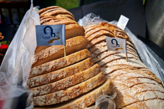 IMG_20250809_104211-Copy