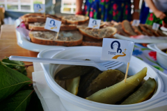 IMG_20250809_104232-Copy