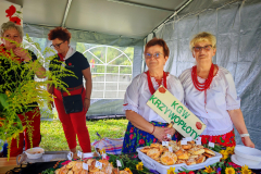 IMG_20250809_104909-Copy