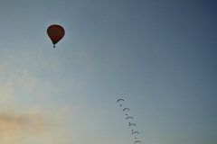 IMG_20250809_191310-Copy