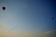 IMG_20250809_191319-Copy