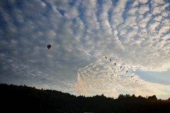 IMG_20250809_191546-Copy