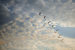 IMG_20250809_191549-Copy