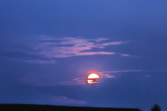 IMG_20250809_205546-Copy