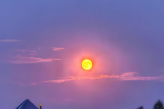 IMG_20250809_210124-Copy