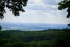 IMG_20250620_153532_Easy-Resize.com_